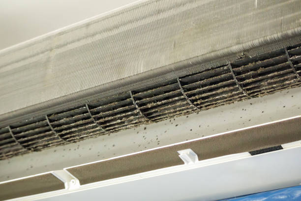 Maysville, NC Airduct Cleaning Company